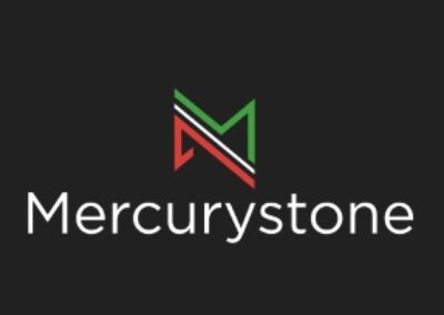 Портфолио / Mercurystone